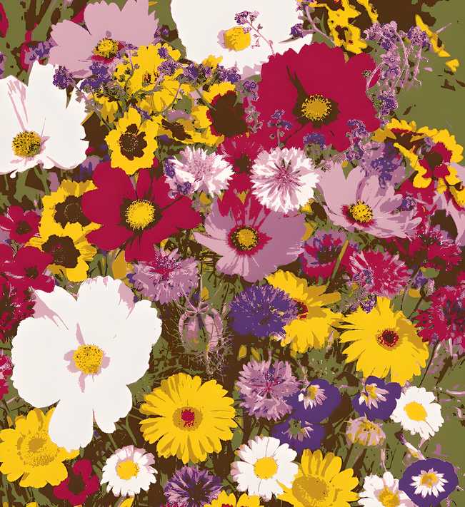 Explore 100 Varieties of Flower Seeds – Colorful Bloom Mix for Home Gardens
