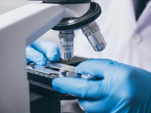 chemlabs-42 chemlabs-42